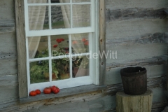 Ameliasburg-Window-1044-1