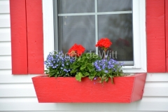 Flowers-Red-Window-Box-3236