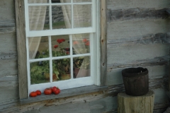 Ameliasburg Window #1044