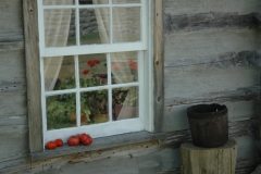 Ameliasburg Window #1044