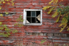 Barn Window Gary #3130