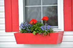 Flowers Red Window Box #3236