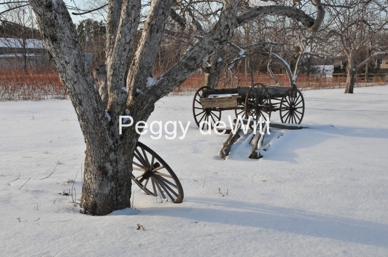 Apple Orchard Wagon Wheel Winter #2904