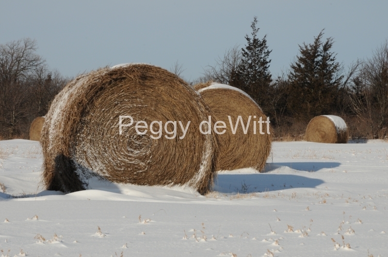 Hay Bales Winter #2171