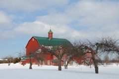 Barn Henry's Winter #2776