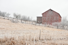 Barn Northport Winter #2913