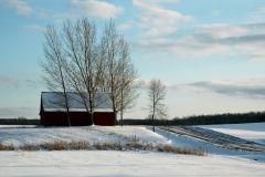 Barn Northport Winter #739