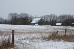 Barn Walkers Winter #1805