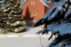 Barn West Lake Fir Trees Winter (v) #2117