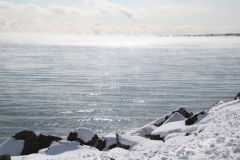 Cressy Shore Misty Winter #3180