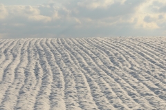 Field Ploughed Clouds Winter #3020