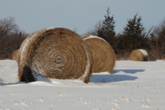 Hay Bales Winter #2171