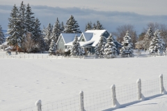 House Fence Prinzen Winter #3270