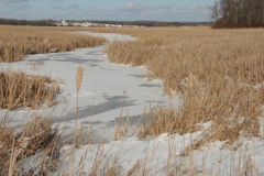 Huff Island Creek Winter #3575