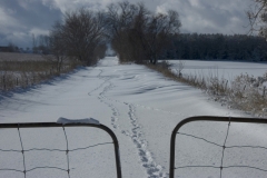 Lane Sandy Hook Winter #2176