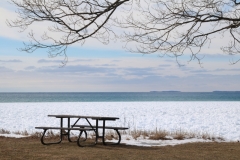 Sandbanks Picnic Table Winter #3367