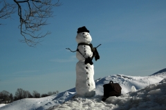 Snowman Camera #1669