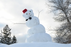 Snowman Parry Sound #2309