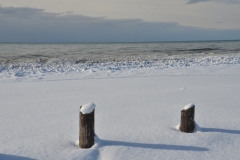 Wellington Beach Posts Winter #3465