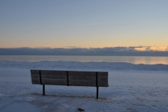 Wellington Bench Dark Winter #3468