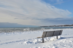 Wellington Bench Winter #3469