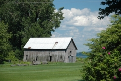 Wolfe Island Shed #1321