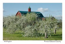 Barn Henry West Lake #1519