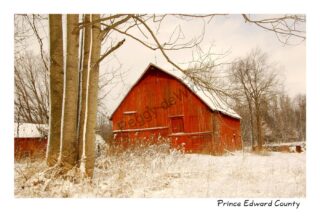 Barn Red Ridge Road Winter #3075 - Peggy deWitt Photography