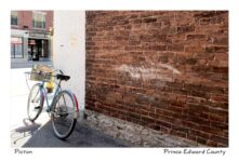 Bike Blue Picton #4204