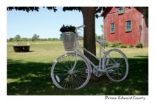 Bike White Melville #3133