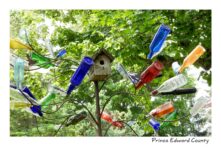 Birdhouse Bottles #3653