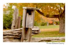 Birdhouse Fence Fall #4004