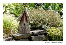 Birdhouse Stone Ledge #3656