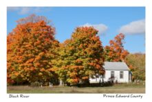 Black River Chapel Fall Trees #3143