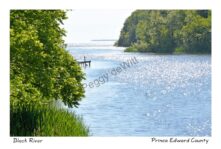 Black River Sparkling Dock #4209