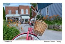 Bloomfield Bike Pink #3658