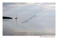 Boat Rays Waupoos #4690