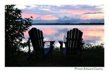 Chairs East Lake Sunrise Pink #4218
