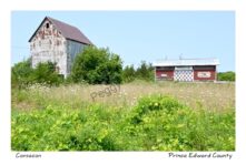 Consecon Feedmill #4538