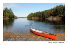 Parry Sound Nine Mile Lake Canoe #2633