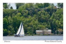 Sailboat Glenora Spring #3776