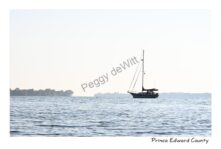 Sailboat PEC #4586