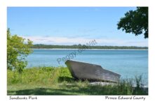 Sandbanks Outlet Boat #3341