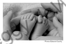 Baby Feet in Hand B&W #2602