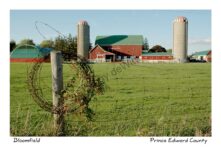 Barn Barbed Wire #1803