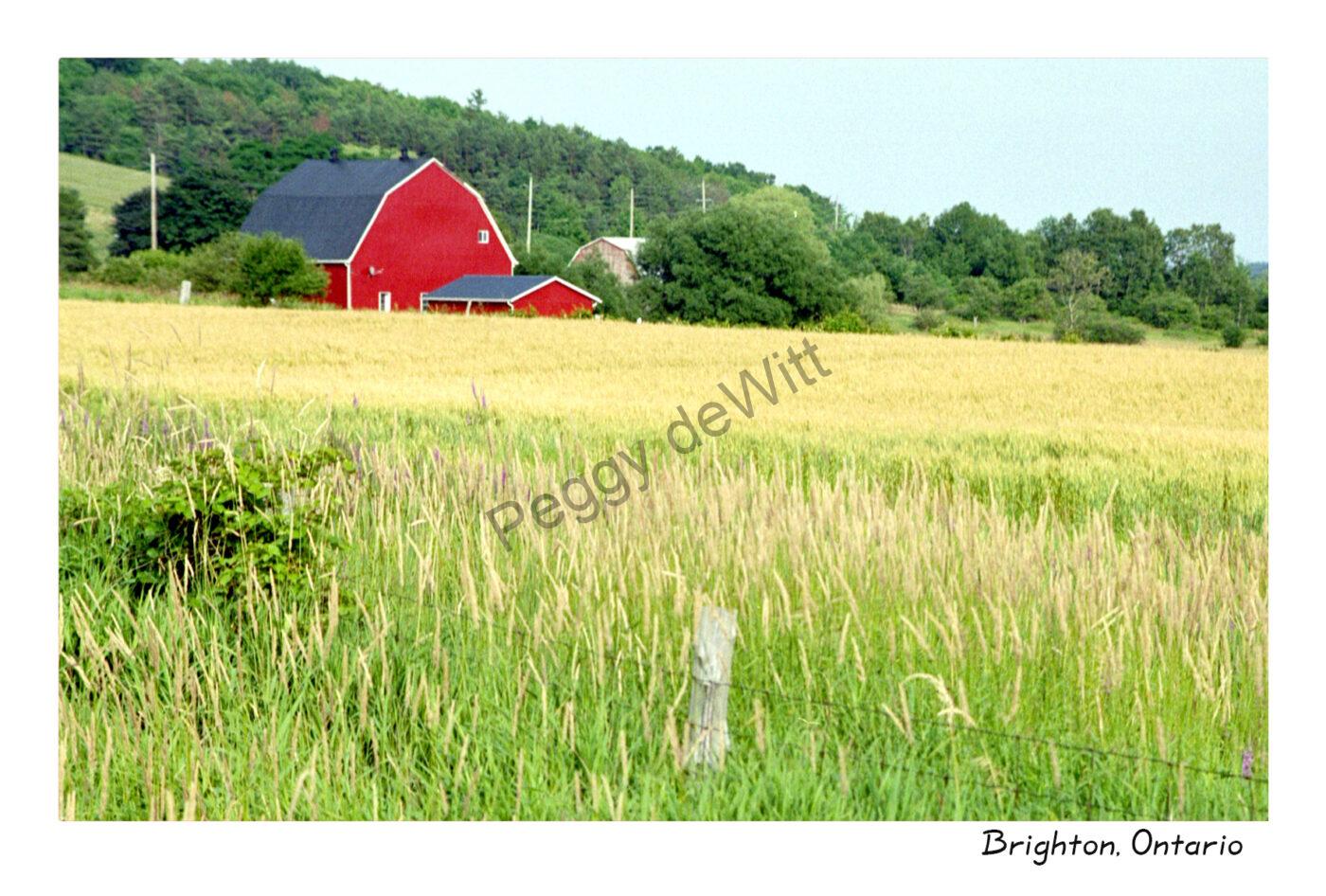 Barn Brighton Red #2853