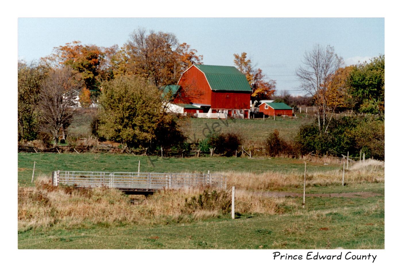 Barn Cold Creek Rd #505