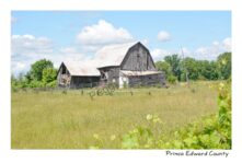 Barn Fish Lake #4350