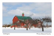 Barn Henrys Winter #2776