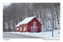 Barn Red Waupoos #3647